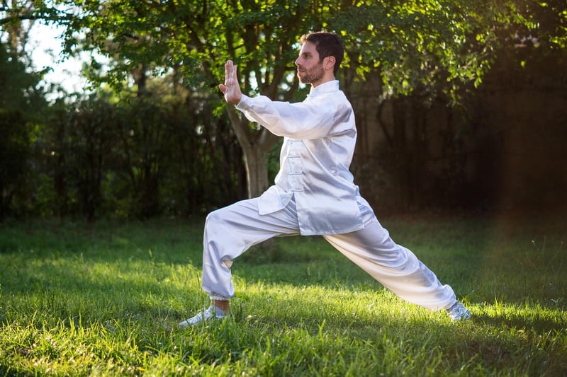 Tai Chi in nature